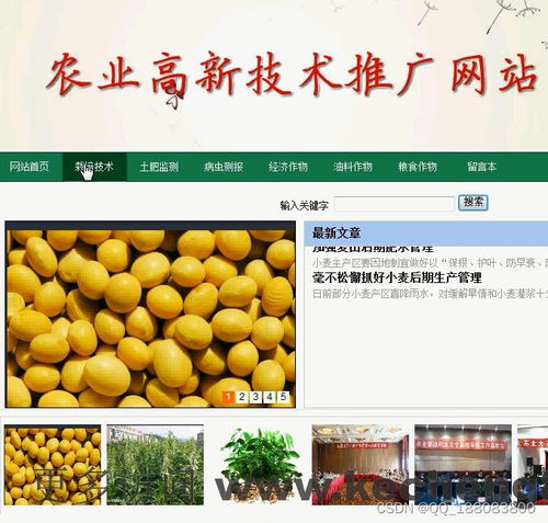 Web端農業高新技術推廣平臺 設計理念與實現路徑